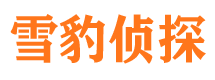 成华市调查公司